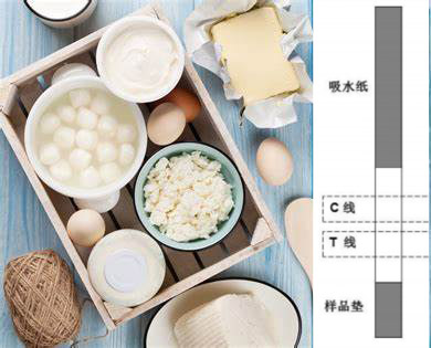 乳品專用氯霉素檢測(cè)試紙條