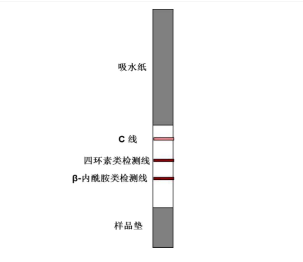 四環(huán)素類(lèi)+β-內(nèi)酰胺類(lèi)抗生素檢測(cè)試紙條.jpg