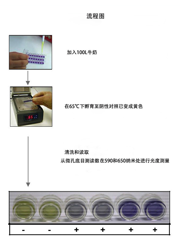 3G test kit-細(xì)節(jié)-中副本.jpg