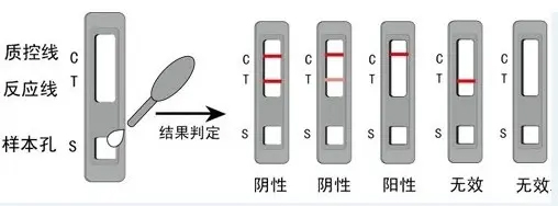 檢測盒-內(nèi)容2.jpg